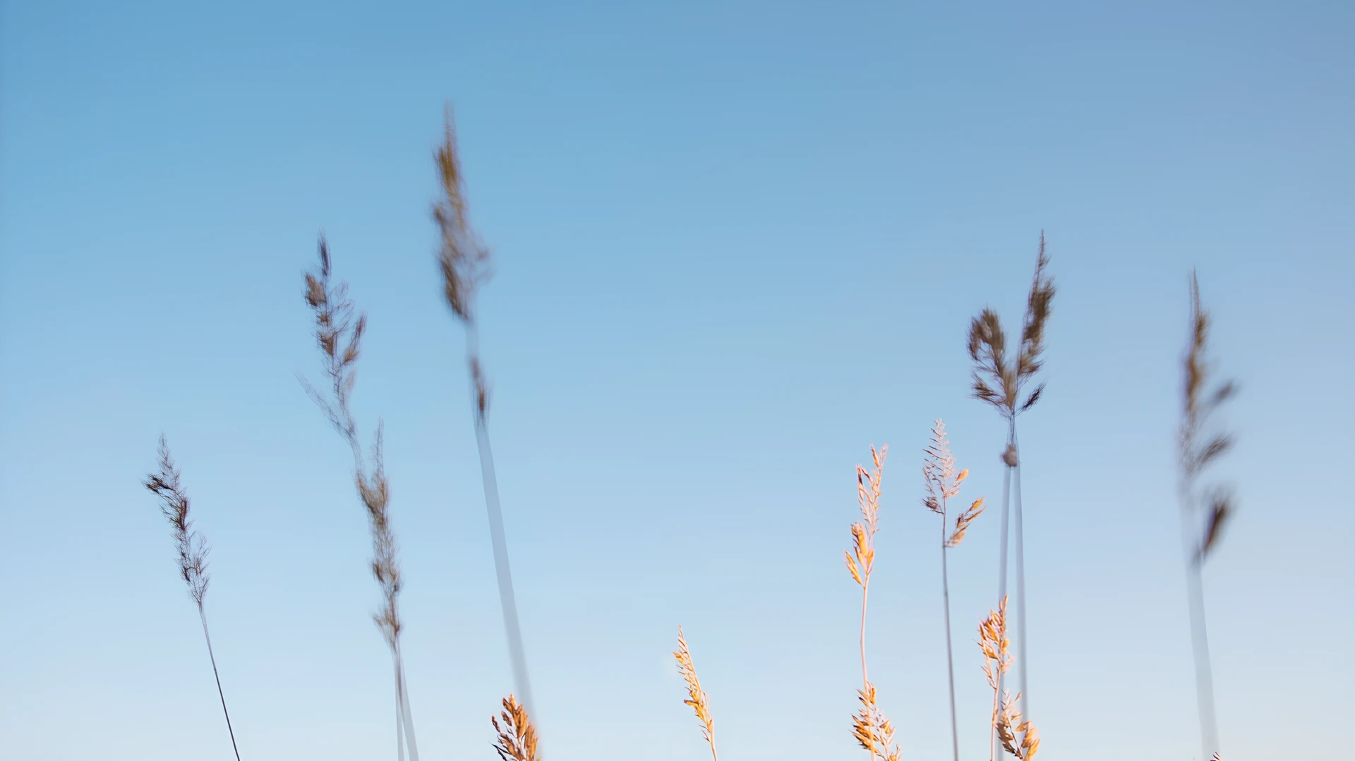 Фоновое изображение